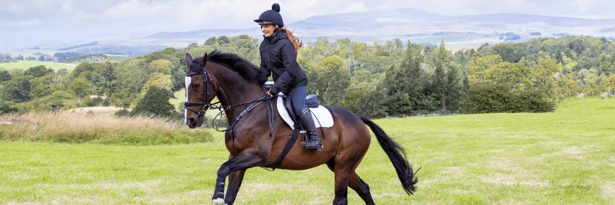 Improve Your Horse's Core