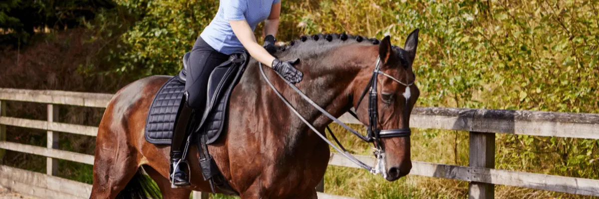 Jodhpurs vs Breeches vs Legwear, Which Women's Legwear Should I Wear?