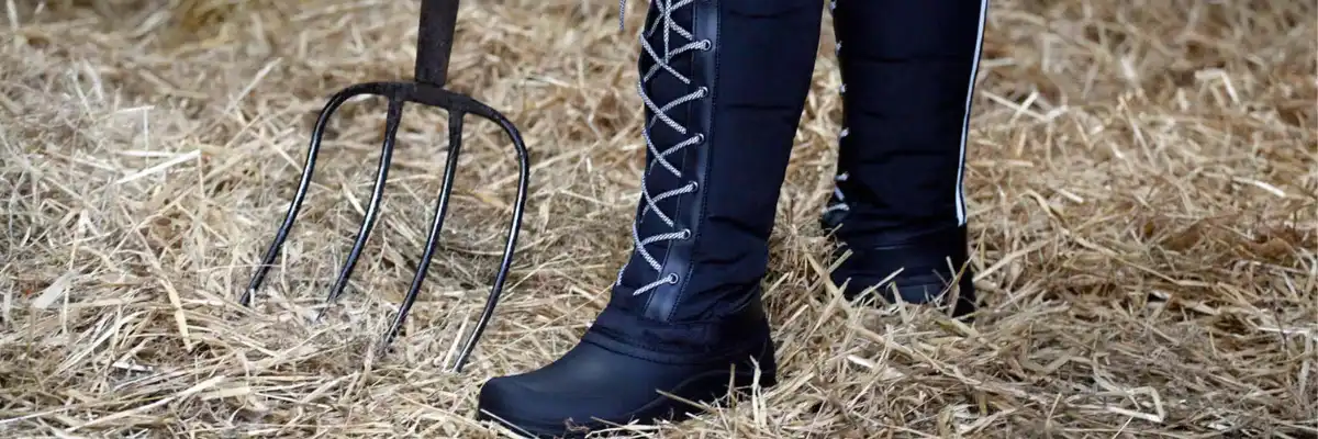 Horse Bedding - What is the best?