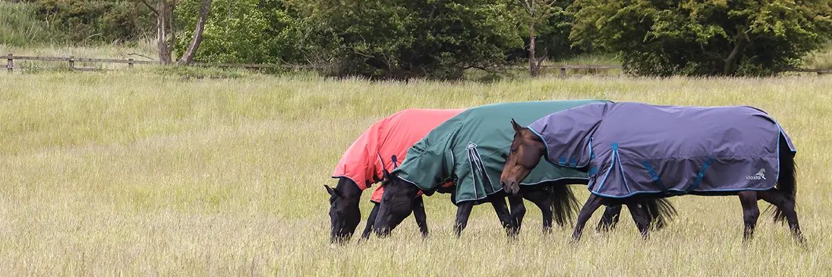 Worming Horses: When, Why and How to Deworm Responsibly