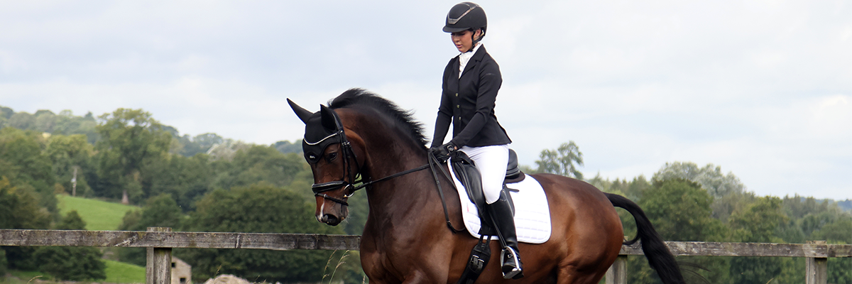 Flatwork Exercises for Horses 