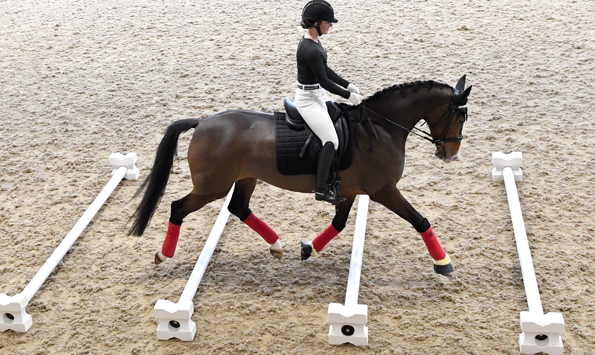 Infrared Rugs for Horses