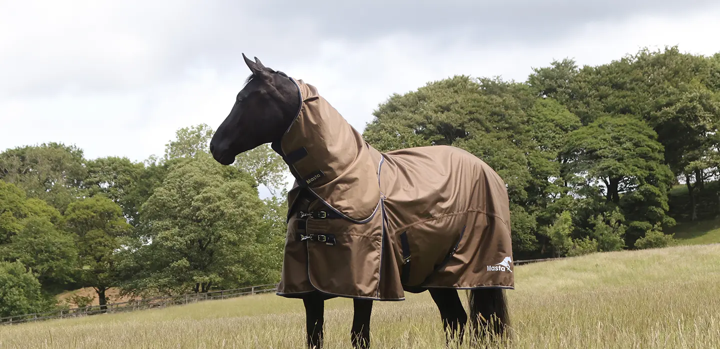 Masta Horse Rugs Available at Harry Hall
