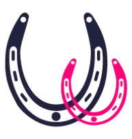 horse shoes icon